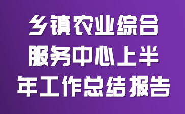 ����ũҵ�ۺϷ��������ϰ��깤���ܽᱨ��