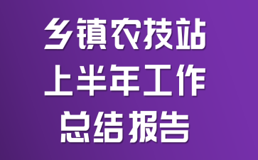 ����ũ��վ�ϰ��깤���ܽᱨ��