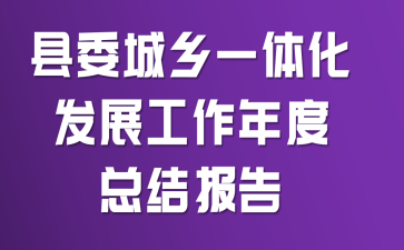 ��ί����һ�廯��չ��������ܽᱨ��