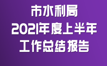 市水利局2021年度上半年工作总结报告
