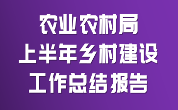 农业农村局上半年乡村建设工作总结报告