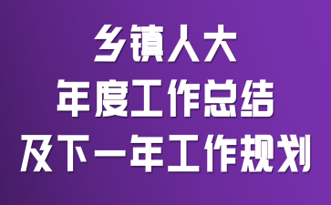 乡镇人大年度工作总结及下一年工作规划