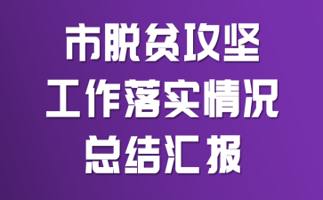 市脱贫攻坚工作落实情况总结汇报