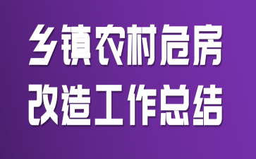 乡镇农村危房改造工作总结
