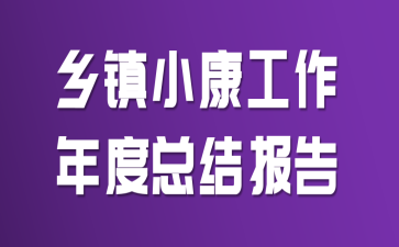 ����С����������ܽᱨ��