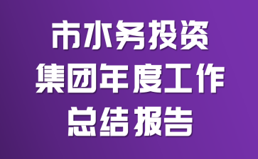 市水务投资集团年度工作总结报告