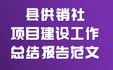 县供销社项目建设工作总结报告范文