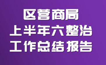 区营商局上半年六整治工作总结报告