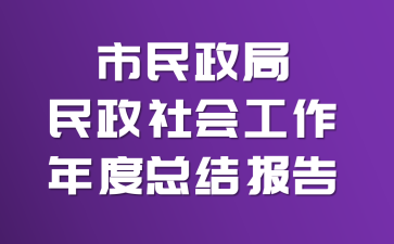 市民政局民政社会工作年度总结报告