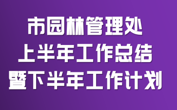 市园林管理处上半年工作总结暨下半年工作计划