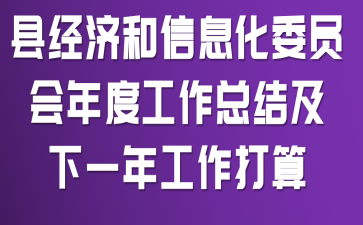 县经济和信息化委员会年度工作总结及下一年工作打算