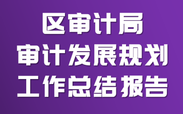 ����ƾ���Ʒ�չ�滮�����ܽᱨ��