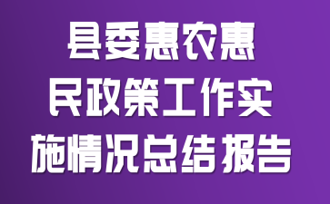 ��ί��ũ�������߹���ʵʩ����ܽᱨ��