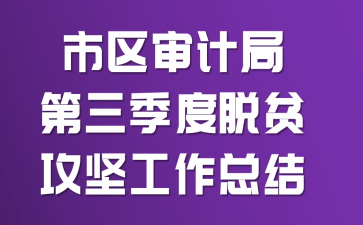 市区审计局第三季度脱贫攻坚工作总结