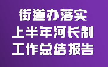 �ֵ�����ʵ�ϰ���ӳ��ƹ����ܽᱨ��