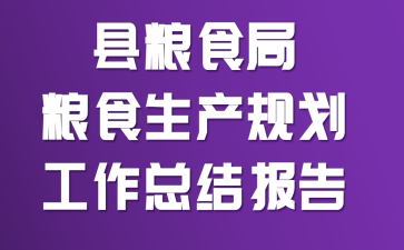 ����ʳ����ʳ�����滮�����ܽᱨ��