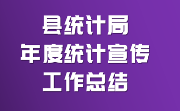 ��ͳ�ƾ����ͳ�����������ܽ�