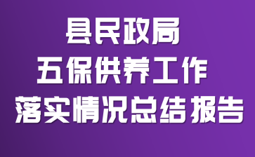 ���������屣����������ʵ����ܽᱨ��