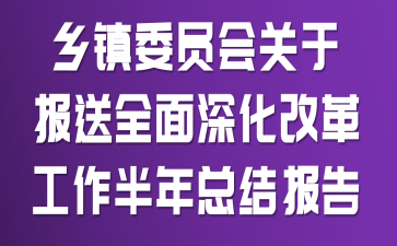 ����ίԱ����ڱ���ȫ����ĸ﹤�������ܽᱨ��