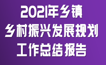 2021������������˷�չ�滮�����ܽᱨ��