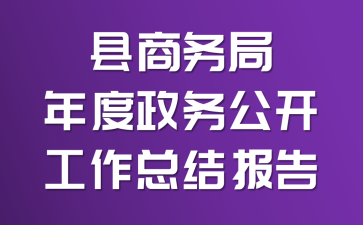 县商务局年度政务公开工作总结报告