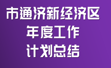 市通济新经济区年度工作计划总结