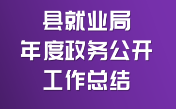 县就业局年度政务公开工作总结