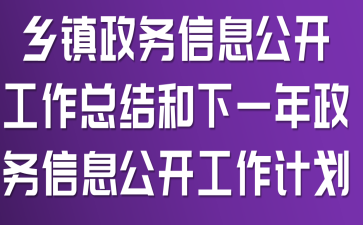 乡镇政务信息公开工作总结和下一年政务信息公开工作计划