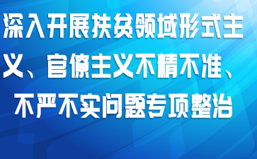 ���뿪չ��ƶ������ʽ���塢�������岻����׼�����ϲ�ʵ����ר������