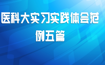 ҽ�ƴ�ʵϰʵ����᷶����ƪ