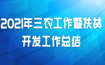 2021����ũ�����߷�ƶ���������ܽ�